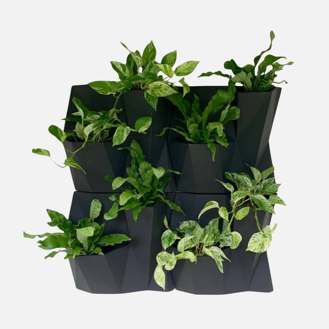 Anglo Wall Planter - Lead