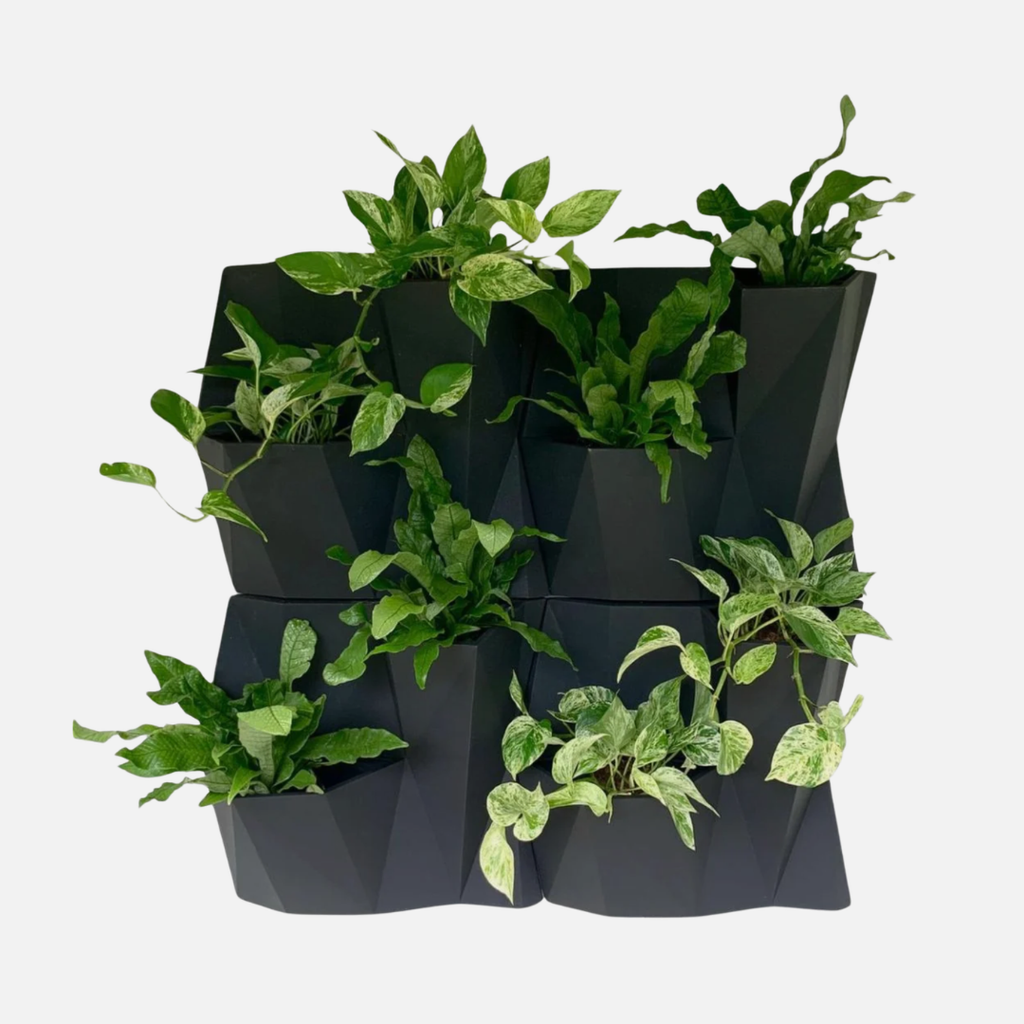 Anglo Wall Planter - Lead