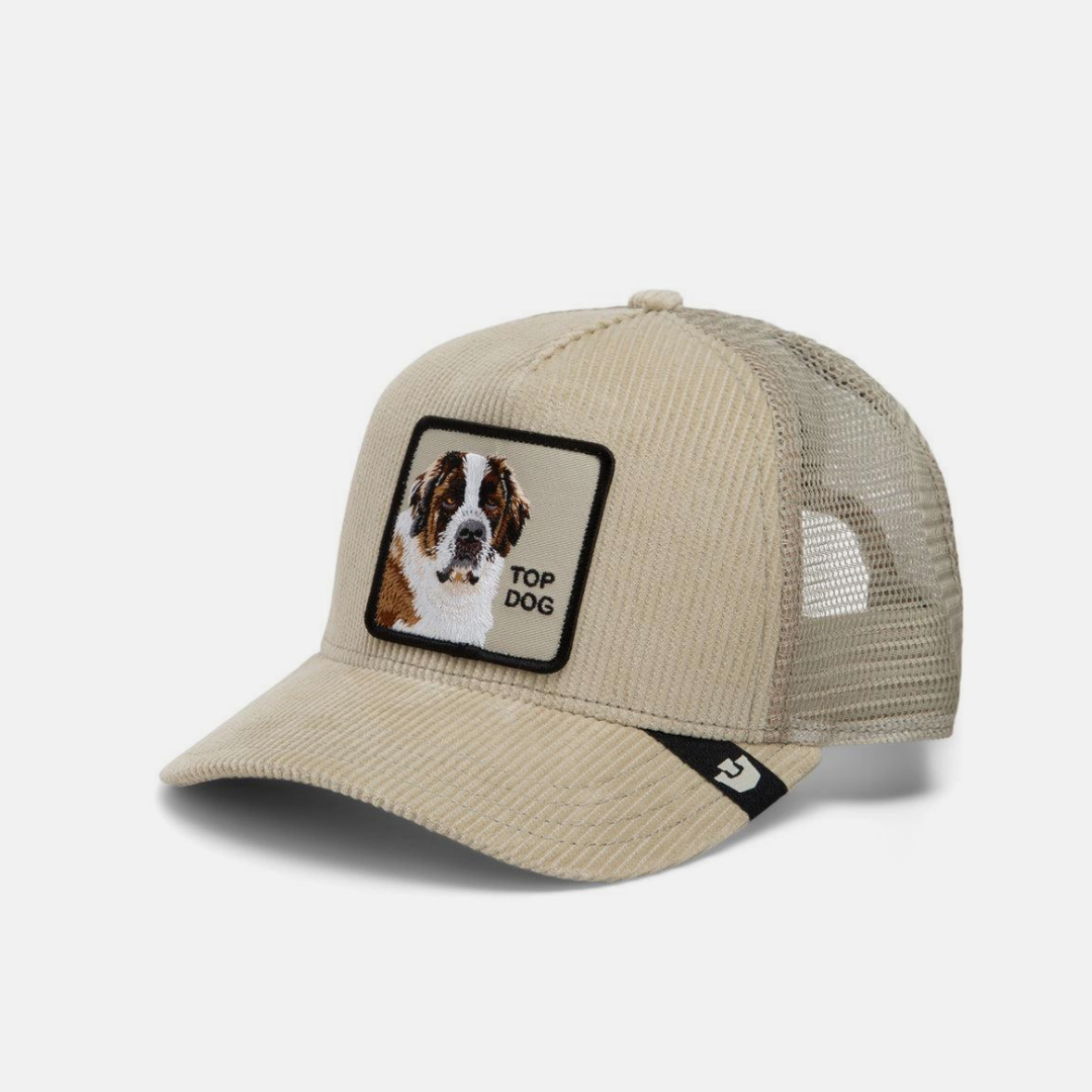 A beige trucker-style cap with a mesh back and a square patch on the front featuring a Saint Bernard dog illustration and the text 'TOP DOG'.
