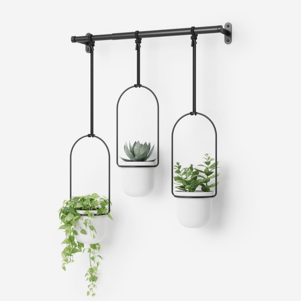 Triflora Hanging Planter - White & Black