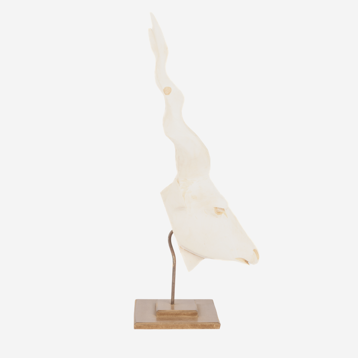 Kudu Head - Natural